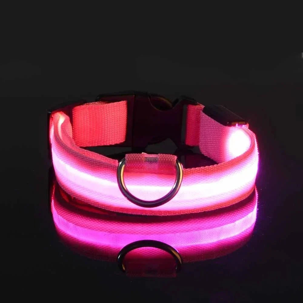 USB-aufladbares LED-Hundehalsband für Dunkelheit | GlowBuddy™
