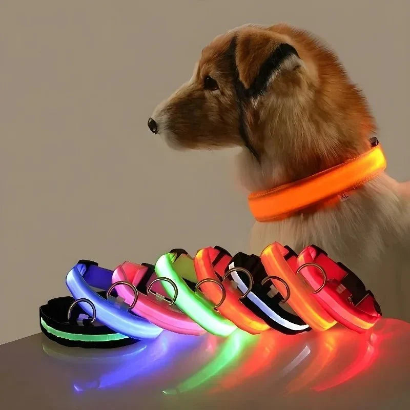 USB-aufladbares LED-Hundehalsband für Dunkelheit | GlowBuddy™
