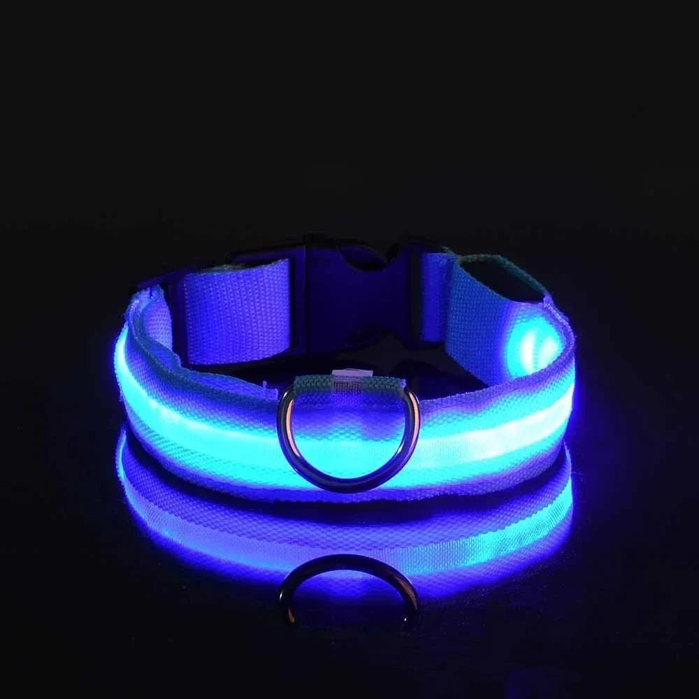 USB-aufladbares LED-Hundehalsband für Dunkelheit | GlowBuddy™