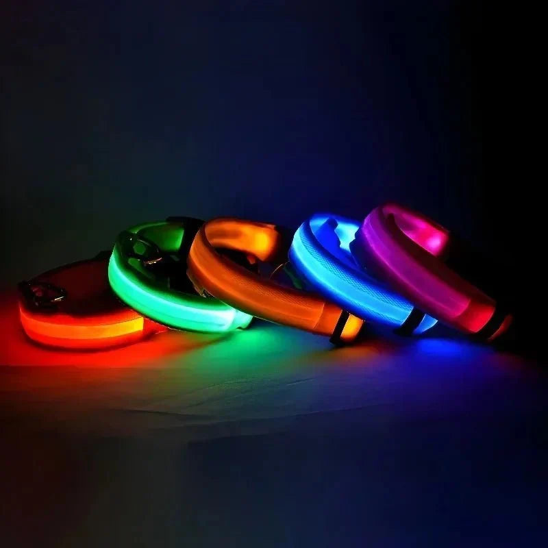 USB-aufladbares LED-Hundehalsband für Dunkelheit | GlowBuddy™