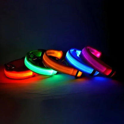 USB-aufladbares LED-Hundehalsband für Dunkelheit | GlowBuddy™