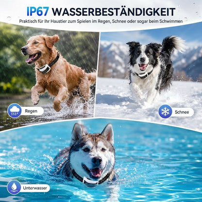 Kabelloses Hundezaun System | Grenzglanz