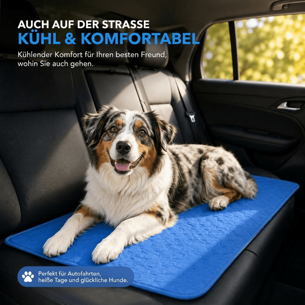 Kühlmatte für Hunde | Kühlpfad