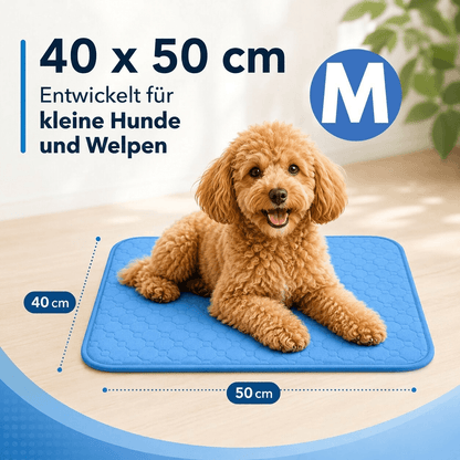 Kühlmatte für Hunde | Kühlpfad