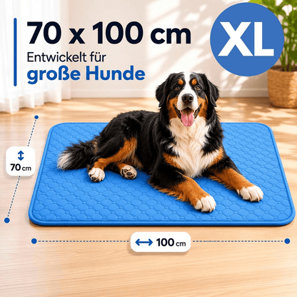 Kühlmatte für Hunde | Kühlpfad