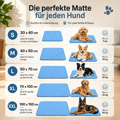 Kühlmatte für Hunde | Kühlpfad